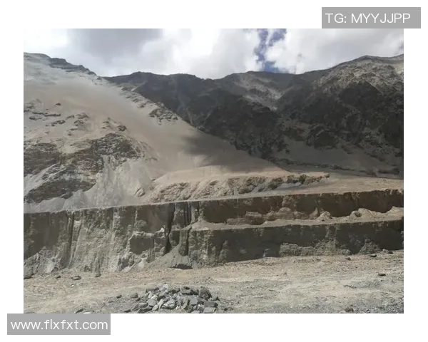 深度对话：探索杨强在英雄联盟中的成长与挑战之路