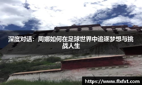 快盈VI