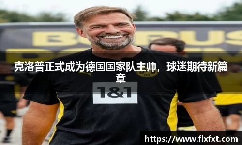 快盈VI